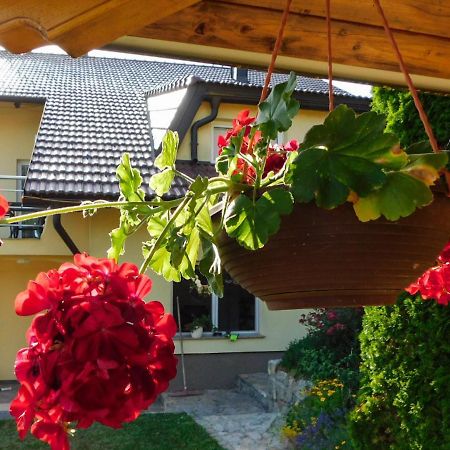 Apartman Lara Apartment Otočac Екстериор снимка