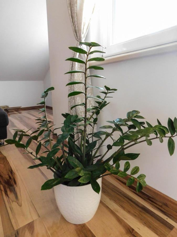 Apartman Lara Apartment Otočac Екстериор снимка